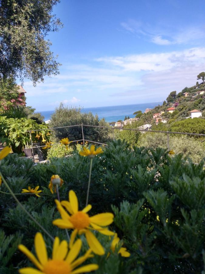 Villino Brunetto Azienda Agrituristica Камольи Экстерьер фото
